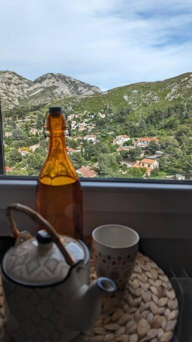 Ideal Sea View, Near Calanques &velodrome -parking Apartment